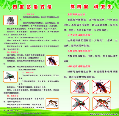 白蚁防治中心--深圳绿美佳专业白蚁防治_