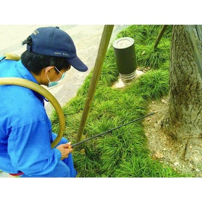 中山东凤白蚁防治防治中心电话