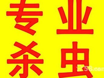 图 深圳南头前海白蚁防治公司 石岩松岗白蚁防治公司 深圳保洁 清洗