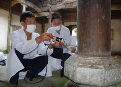 武汉鑫豪白蚁防治(在线咨询)_襄阳白蚁防治_工厂白蚁防治