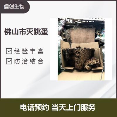 灭老鼠 南海白蚁防治工厂消杀公司电话