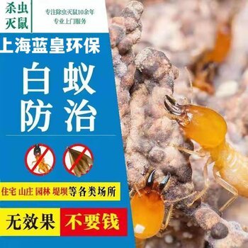 嘉定区白蚁防治家庭杀白蚁服务公司小区灭白蚁灭鼠灭蚊子服务