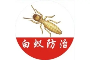 龙港白蚁防治中心电话-白蚁防治事业单位