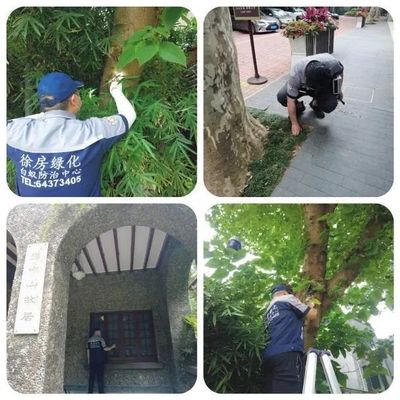 传承红色基因,守护红色家底,上海探索建立红色建筑白蚁危害勘查长效工作机制