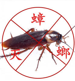 晋江白蚁防治|晋江灭白蚁|晋江白蚁预防