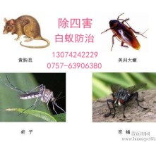 高清图片