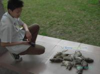 东莞杀虫公司、宿舍杀虫、酒店杀虫、杀虫灭鼠、消白蚁防治[供应]_节能环保材料_世界工厂网中国产品信息库
