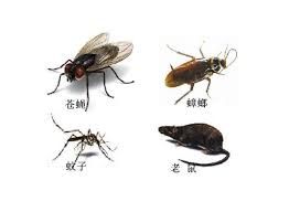 广州除四害公司