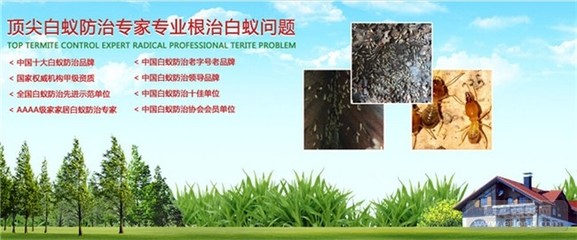 防治白蚁专家,花都防治白蚁,宏晖白蚁防治 (查看)